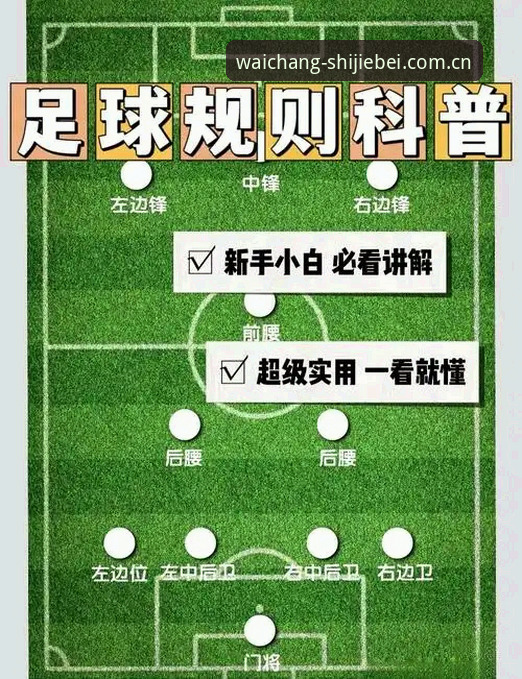 世足赛官方数据常见问题全面解析：新手必读的查询与操作指南